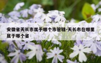 安徽省天长市属于哪个市管辖-天长市在哪里属于哪个省