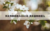 天长市财政收入2023年-天长县财政收入