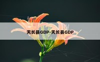 天长县GDP-天长县GDP