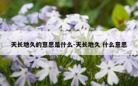 天长地久的意思是什么-天长地久 什么意思