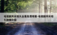 电视剧天长地久全集免费观看-电视剧天长地久剧情介绍