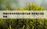 歌曲中有句天长地久是什么歌-天长地久这首歌曲