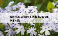 天长市2019年gdp-天长市2019年中考人数