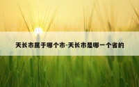 天长市属于哪个市-天长市是哪一个省的