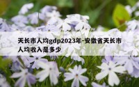 天长市人均gdp2023年-安徽省天长市人均收入是多少