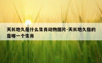 天长地久是什么生肖动物图片-天长地久指的是哪一个生肖