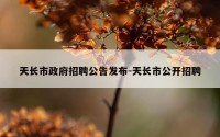 天长市政府招聘公告发布-天长市公开招聘