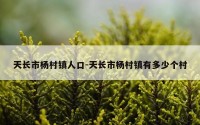 天长市杨村镇人口-天长市杨村镇有多少个村
