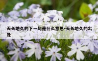 天长地久的下一句是什么意思-天长地久的出处