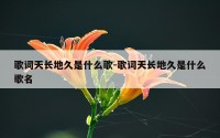 歌词天长地久是什么歌-歌词天长地久是什么歌名