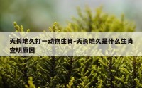 天长地久打一动物生肖-天长地久是什么生肖查明原因