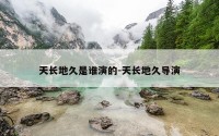 天长地久是谁演的-天长地久导演