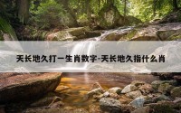天长地久打一生肖数字-天长地久指什么肖