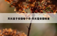 天长属于安徽哪个市-天长是安徽哪里