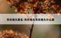 天长地久歌名-天长地久天长地久什么歌