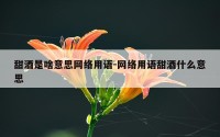 甜酒是啥意思网络用语-网络用语甜酒什么意思