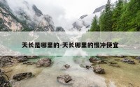 天长是哪里的-天长哪里的慢冲便宜