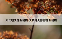 天长地久什么动物-天长地久形容什么动物