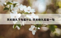 天长地久下句是什么-天长地久后面一句