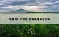 低就是什么意思-低就是什么意思啊