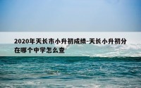 2020年天长市小升初成绩-天长小升初分在哪个中学怎么查
